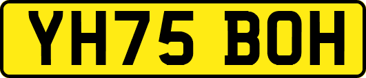 YH75BOH