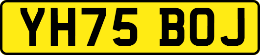 YH75BOJ