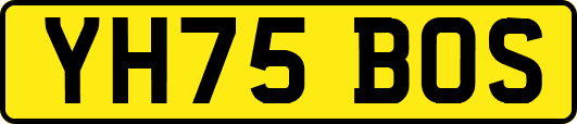 YH75BOS
