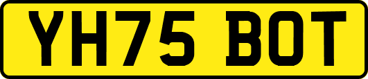 YH75BOT
