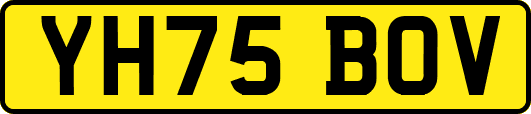 YH75BOV