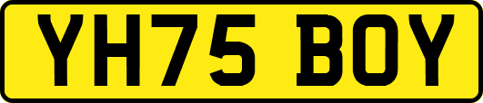 YH75BOY