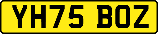 YH75BOZ