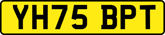 YH75BPT