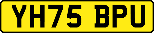 YH75BPU