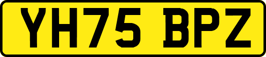 YH75BPZ