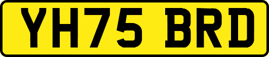 YH75BRD