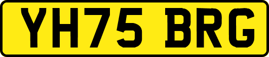 YH75BRG