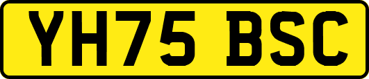 YH75BSC