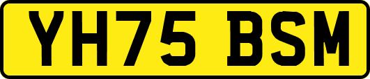 YH75BSM
