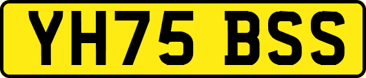 YH75BSS