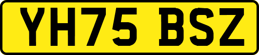 YH75BSZ