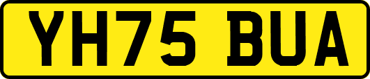 YH75BUA