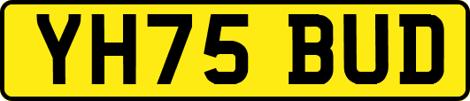 YH75BUD