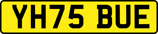 YH75BUE