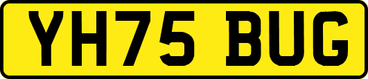 YH75BUG