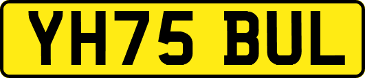 YH75BUL