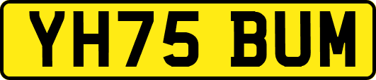 YH75BUM