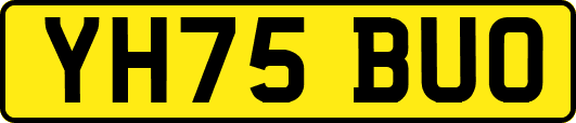 YH75BUO