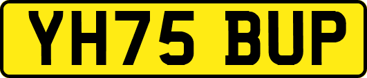 YH75BUP