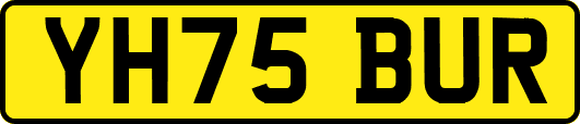 YH75BUR