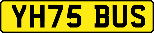 YH75BUS