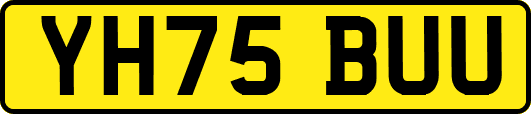 YH75BUU