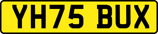 YH75BUX