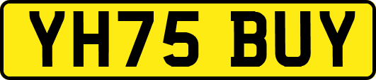 YH75BUY