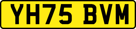 YH75BVM