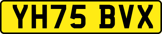 YH75BVX