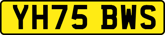 YH75BWS