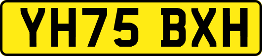 YH75BXH