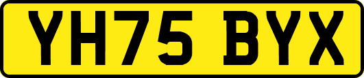 YH75BYX