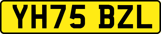 YH75BZL