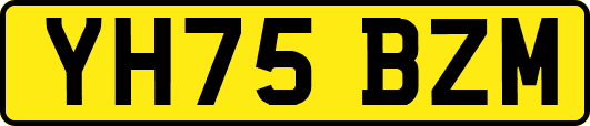 YH75BZM