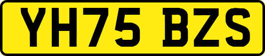 YH75BZS