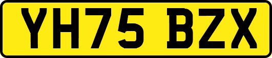 YH75BZX