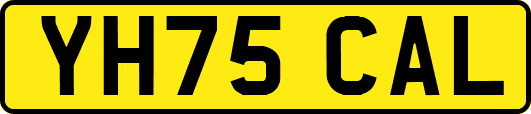 YH75CAL