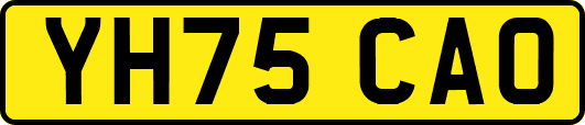 YH75CAO