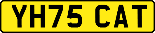 YH75CAT