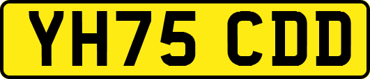YH75CDD