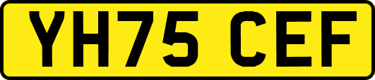 YH75CEF