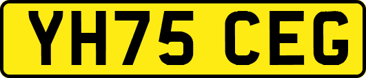 YH75CEG