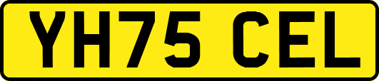 YH75CEL