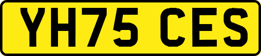 YH75CES