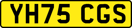 YH75CGS