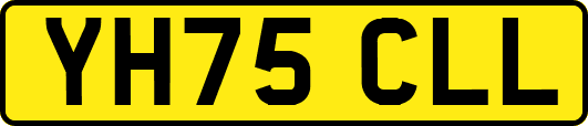 YH75CLL