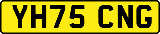 YH75CNG
