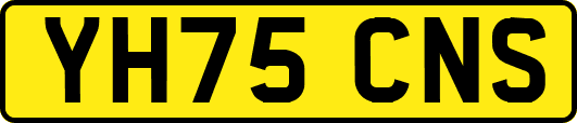 YH75CNS
